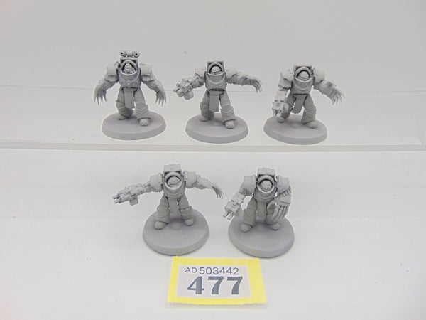 Cataphractii Terminator Squad