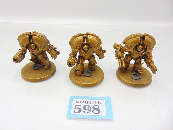 Saturnine Terminators