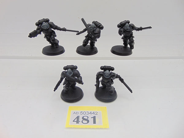 Assault Intercessors