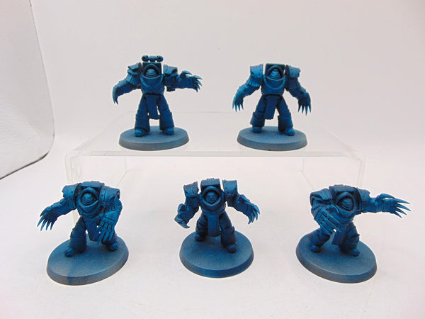 Cataphractii Terminator Squad