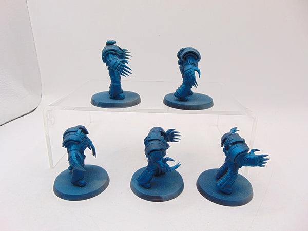 Cataphractii Terminator Squad