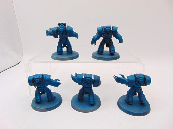 Cataphractii Terminator Squad