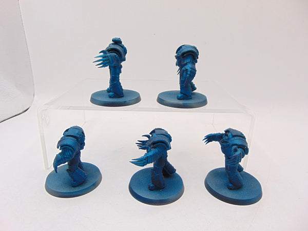 Cataphractii Terminator Squad