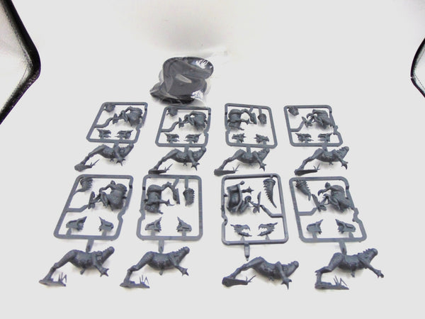 Saurus Cold One Knights