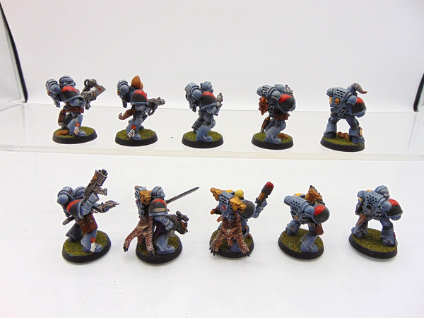Grey Hunters