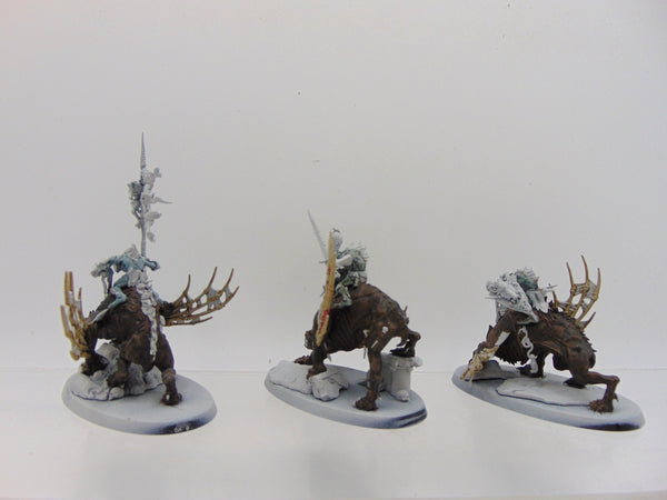 Morbheg Knights