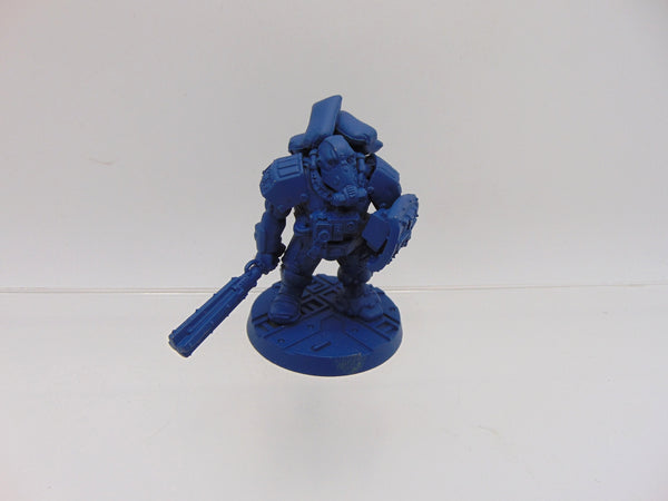 Bullgryn