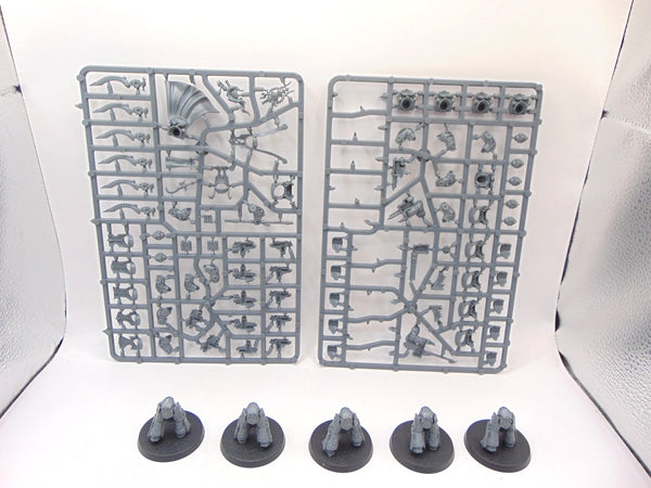 Scarab Occult Terminators