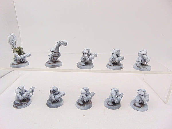 Dwarf Irondrakes