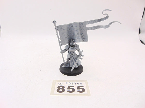 Knight Vexillor with Banner of Apotheosis
