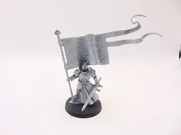 Knight Vexillor with Banner of Apotheosis