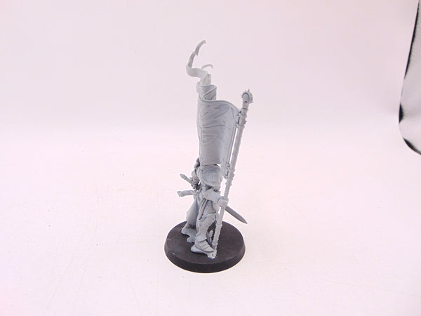 Knight Vexillor with Banner of Apotheosis