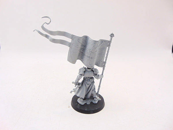 Knight Vexillor with Banner of Apotheosis