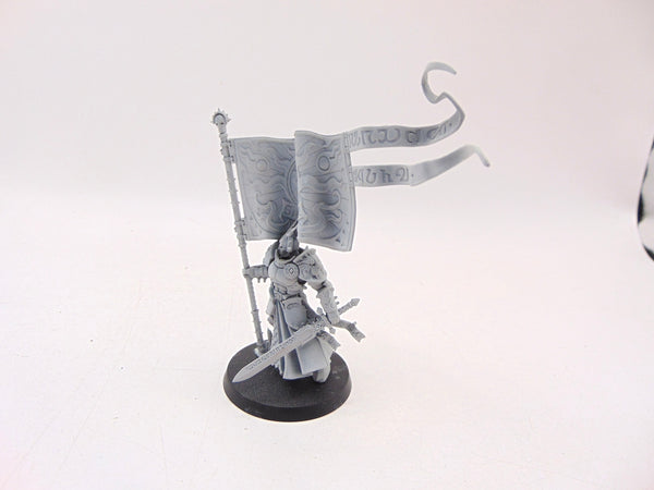Knight Vexillor with Banner of Apotheosis
