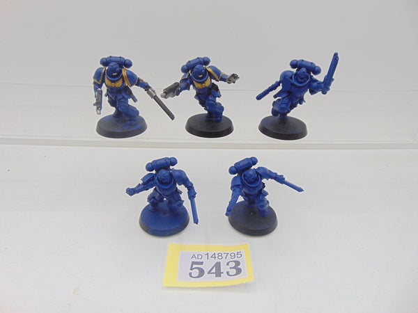 Assault Intercessors