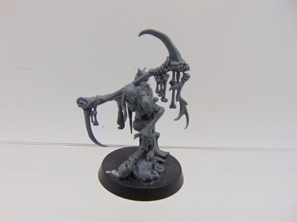 Marrowscroll Herald