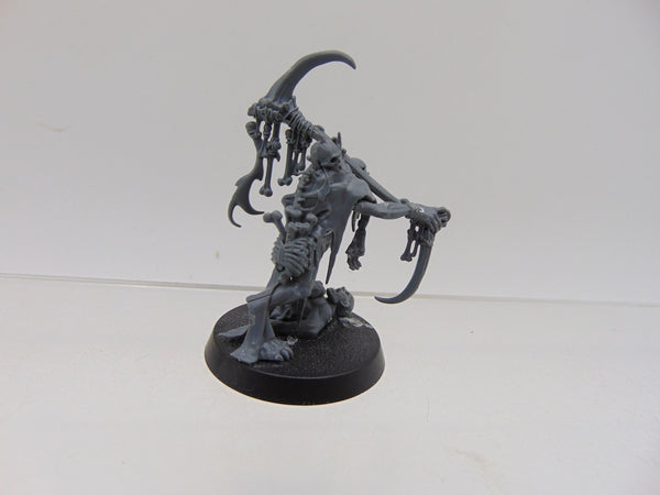 Marrowscroll Herald
