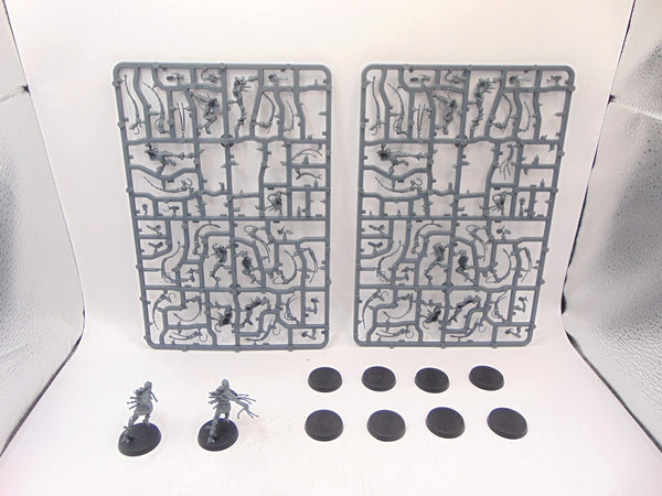 Arco Flagellants