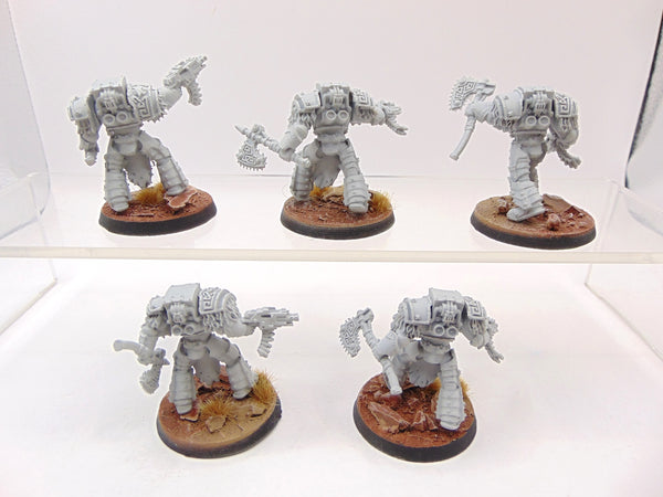 Varagyr Wolf Guard Terminators