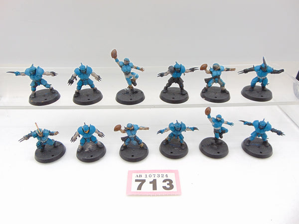 Human Blood Bowl Team