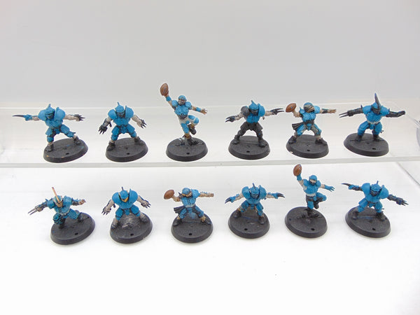 Human Blood Bowl Team