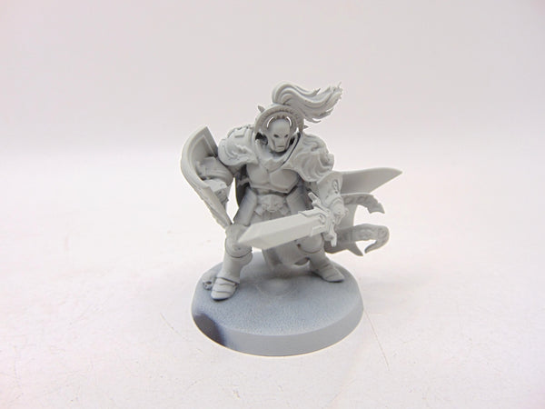 Knight Questor