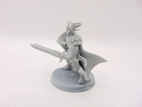 Knight Questor