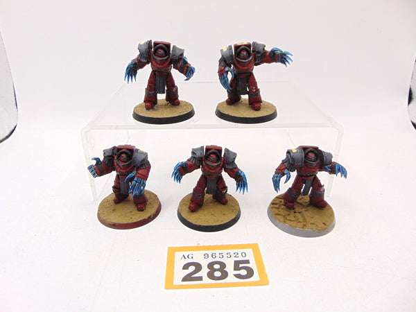 Cataphractii Terminator Squad