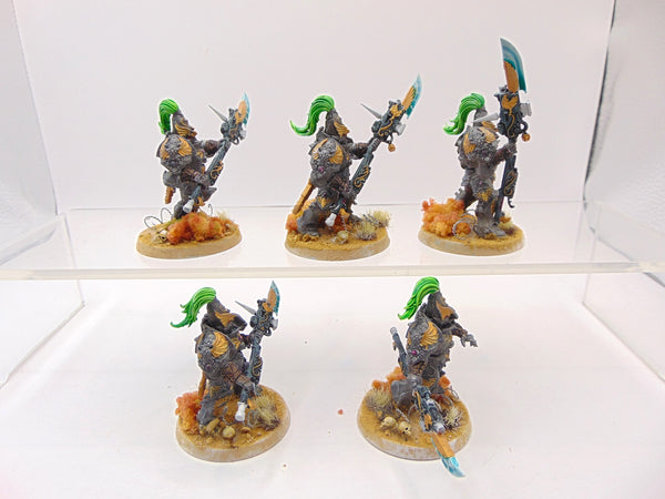 Custodian Guard