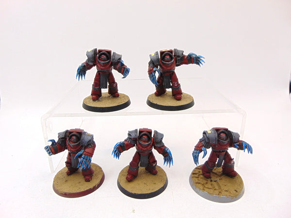 Cataphractii Terminator Squad