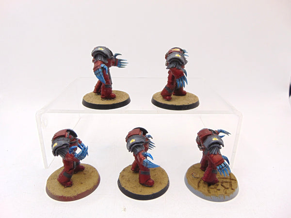 Cataphractii Terminator Squad