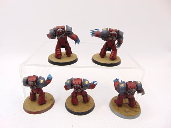 Cataphractii Terminator Squad