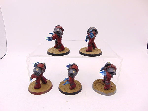 Cataphractii Terminator Squad