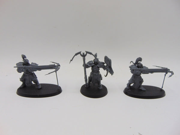 Vanguard Raptors