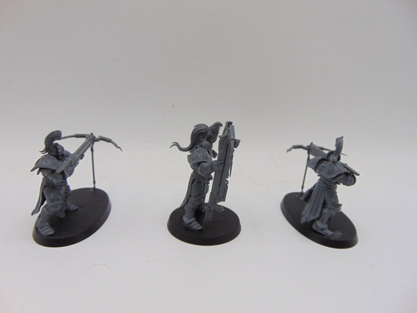 Vanguard Raptors