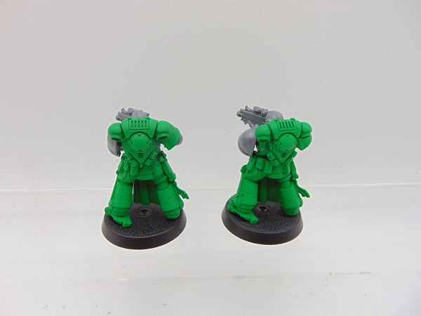 Sternguard Veterans