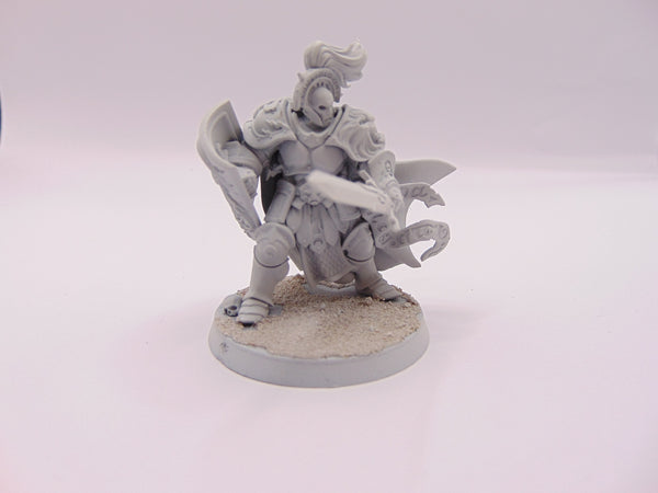 Knight Questor