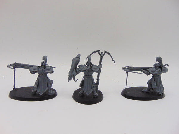 Vanguard Raptors