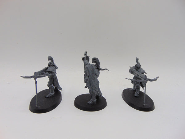Vanguard Raptors
