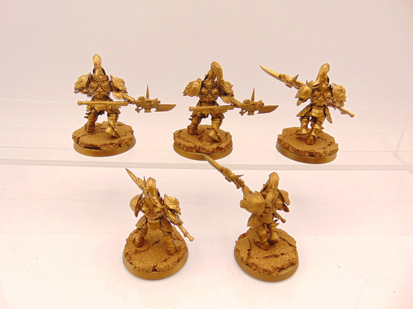 Custodian Guard