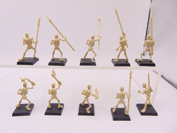 Skeleton Warriors