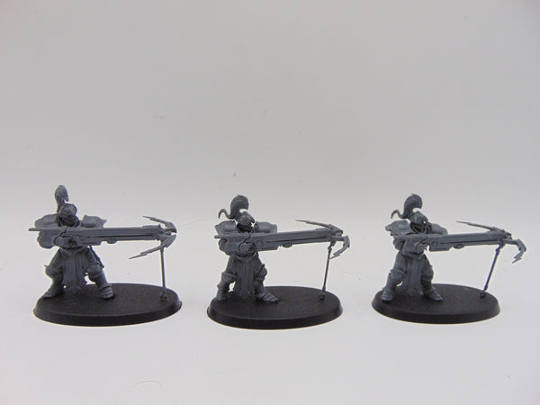 Vanguard Raptors
