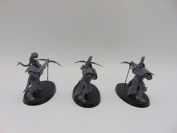 Vanguard Raptors