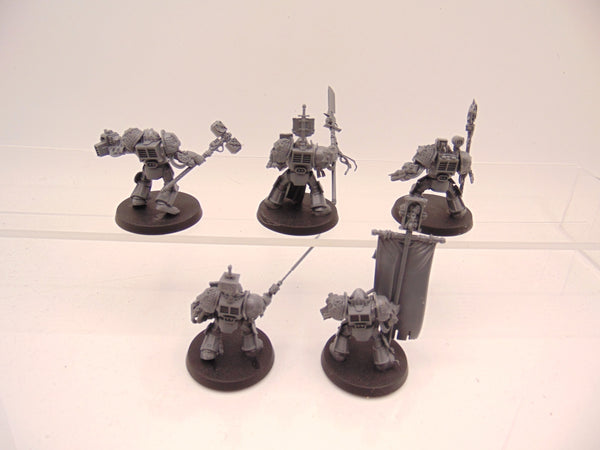 Brotherhood Terminator Squad