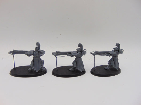Vanguard Raptors