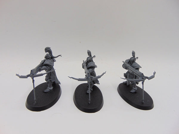 Vanguard Raptors