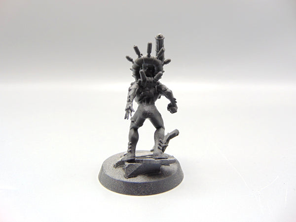 Culexus Assassin