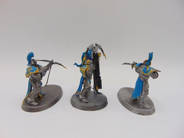 Vanguard Raptors