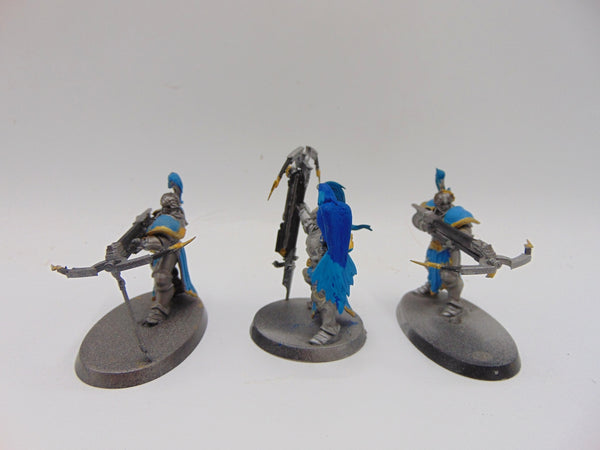 Vanguard Raptors
