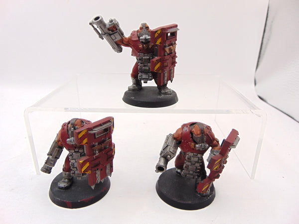 Bullgryns